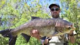 CPW removes nearly 60 additional invasive carp from Arvada pond