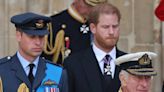 Statt an Harry: König Charles verleiht Prinz William Militär-Titel
