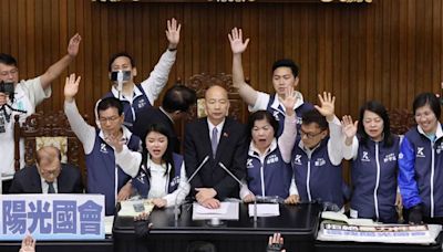 韓國瑜宣布「不再清點人數」洪申翰怒：算什麼民主？連清點人數都不敢