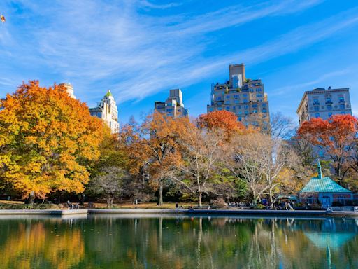 Believe it or not, NYC just released a list of best trees in the city