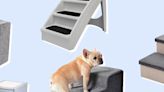 The 10 Best Dog Stairs and Ramps to Give Your Pup a Leg Up