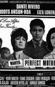 Wanted: Perfect Mother