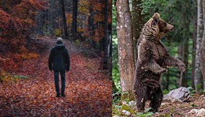 Man or bear? Viral question asks which is more dangerous