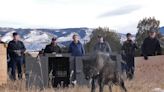 Here’s where Colorado’s wolves traveled in May — including closer to some I-70 mountain communities