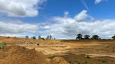 Plant species recorded in Bedfordshire for first time in restored quarry land