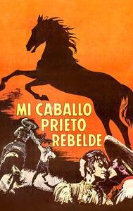 Mi caballo prieto rebelde