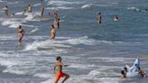 Scientists warn of 'massive mortality' of marine life as Mediterranean Sea heats up