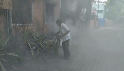 Zika virus cases on rise in Maharashtra: Should you be worried? Check symptoms, prevention | Today News