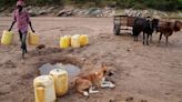 Día Mundial del Agua: Historias estremecedoras de primera línea de la crisis mundial del agua