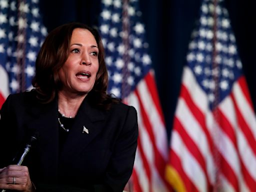 Harris earns $231 million in donations on first day of presidential campaign