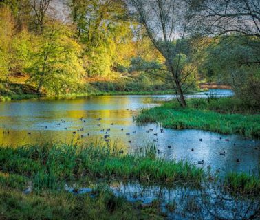 Barry Roberts wins Beautiful Blenheim 2024 photography competition