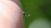 夏天防蚊蟲叮咬 專家傳授購買防蚊和止癢藥品4祕訣