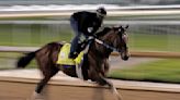 Epicenter is 6-5 favorite for Preakness without Rich Strike