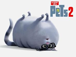 The Secret Life of Pets 2