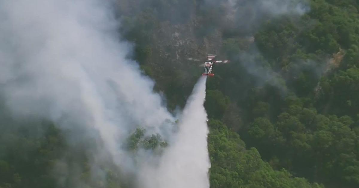 Queenstone Fire burns vegetation west of Marinwood in North Bay