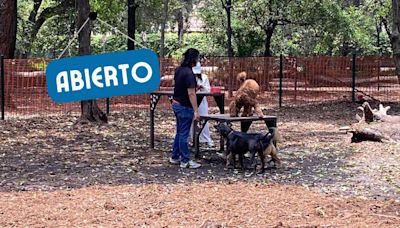 ¡Ganaron los lomitos! Reabre Parque Gandhi de perritos en el Bosque de Chapultepec