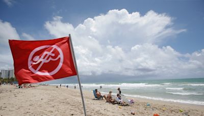 Weather Flash: Different beach flags, understanding what they mean