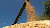 La Nación / USDA prevé para Paraguay leve aumento de la producción de soja