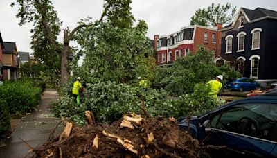 Tornado briefly sweeps into Buffalo, damaging buildings and scattering tree limbs