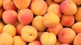 Everything you need to know about apricots