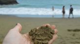 Dumping green sand in shallow seas could let them absorb more CO2