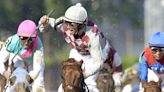 Funny Cide, popular 2003 Kentucky Derby winner who nearly captured Triple Crown, has died