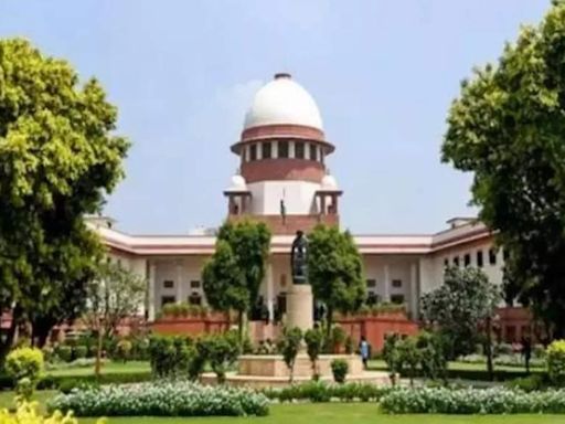 Bihar reservation case: SC refuses to stay Patna HC's order of scrapping 65% quota; lists matter in September - The Economic Times