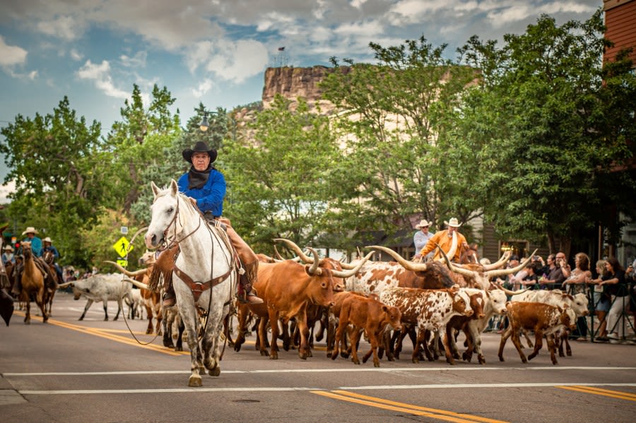 Experience Old West with cattle drive near Denver this weekend