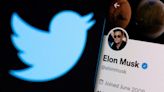 Mastodon: así es la red social señalada como alternativa a Twitter