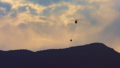 Trees don’t like to breathe wildfire smoke, either – and they’ll hold their breath to avoid it