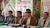 Analizarán producción de camélidos en Simposio - El Diario - Bolivia