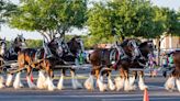 Budweiser Clydesdale horses return to Round Rock