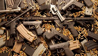 Govt announces new fire arms license fees | Zw News Zimbabwe
