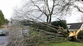 Storm Jocelyn to bring 80mph winds after Isha wreaks havoc across UK