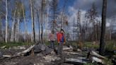 Incendios forestales podrían obligar a Canadá a reconsiderar el producir crudo