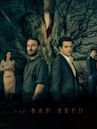 The Bad Seed (TV series)