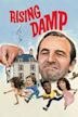 Rising Damp