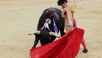 Aprobado en primer debate proyecto de ley que regula las corralejas y corridas de toros: “el objetivo es salvar un millón de empleos”