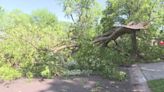 City of Leawood offers storm debris pickup on Monday