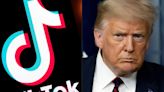 How TikTok wooed Trump to fight US ban