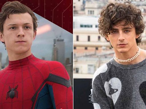 When Timothee Chalamet Was Chosen Over Tom Holland For Spider-Man But The Former Got Rejected: “I Read Twice And I...