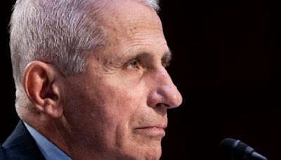 Anthony Fauci agrees to testify in Congress on COVID origins, pandemic policies