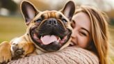 Las 10 ciudades más (y menos) “pet-friendly” de EEUU