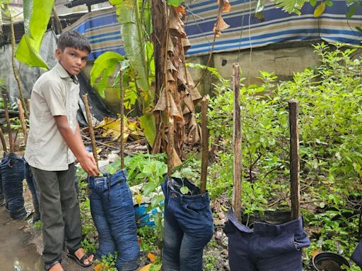 With discarded trousers and shirts as garden containers, 13-year-old from Karumalloor shows the way