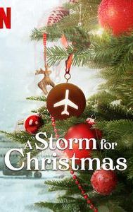 A Storm for Christmas