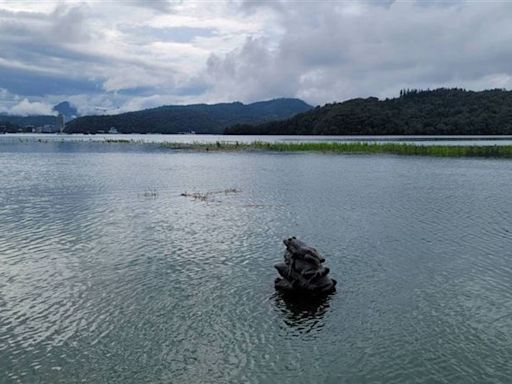 鋒面降雨大進補！日月潭水庫進帳600萬噸 9蛙疊像「4蛙見客」解乾旱