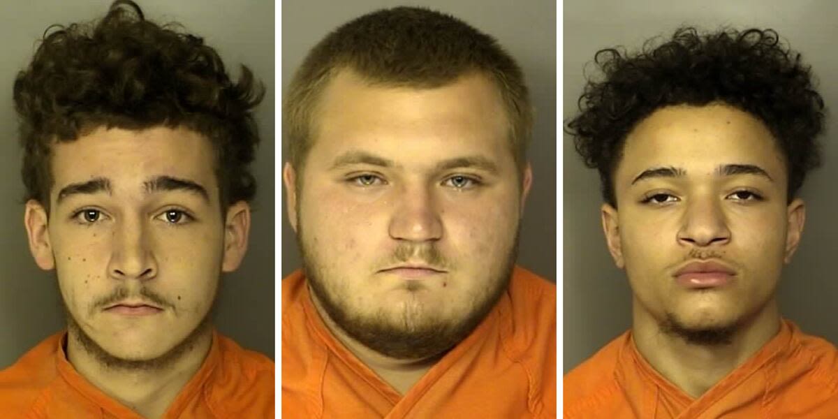 Pair of 17-year-olds among 4 charged in pistol-whipping, assault of teen at Conway-area party