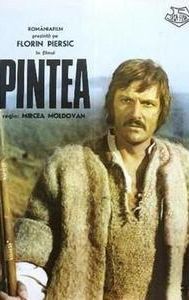 Pintea