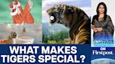 World Tiger Day: Why we Need to Protect Tigers |