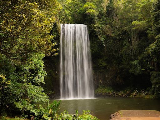 Urgent search after swimmers failed to resurface at popular waterfall